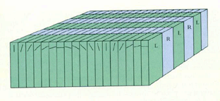 area17simplecellarrangement