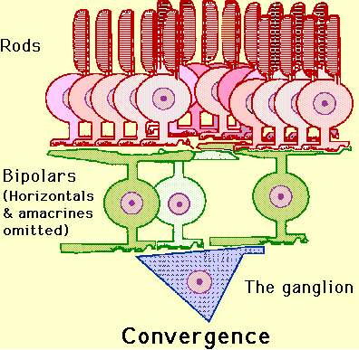 gangs guide study