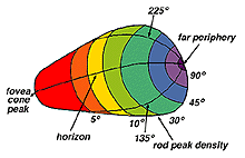 retinotopicmap